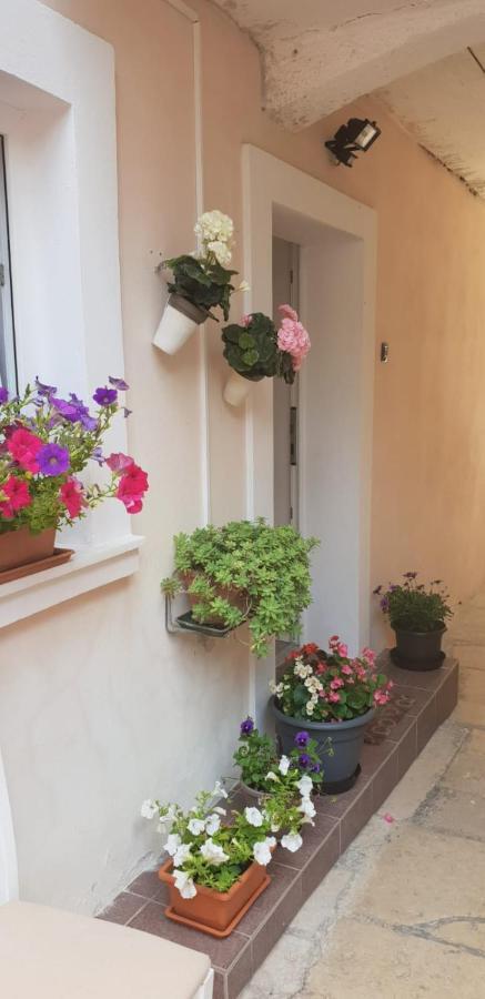 Apartment Asja Old City Center Pula Exterior photo